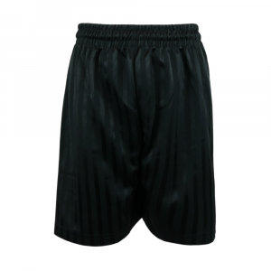 Shadow Stripe Short