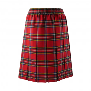 Red Tartan Box Pleated Skirt