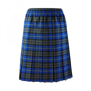 Light Blue Tartan Box Pleated Skirt