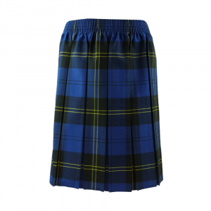 Dark Blue Double Line Tartan Box Pleated Skirt